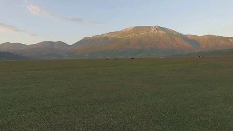 Horses graze in a large valley surrounded by mountains. Aerial video. Stock Footage 70357890