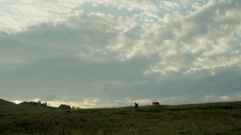 Horses Grazing on a Hill Under a Cloudy Sky. Chartreuse mountains Vidéo 284430101