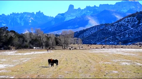 Horses Grazing Mountain Background Stock Footage 44425535