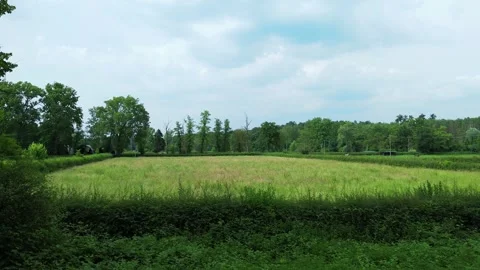 Horses grazing on the ranch Stock Footage 307147199