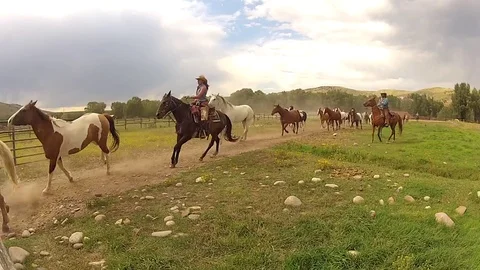 Horses Herded 9 Stock Footage 75848932