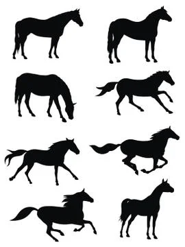 Horses Stock Illustration