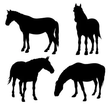 Horses Stock Illustration