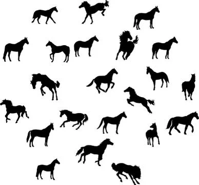 Horses Illustrazione stock