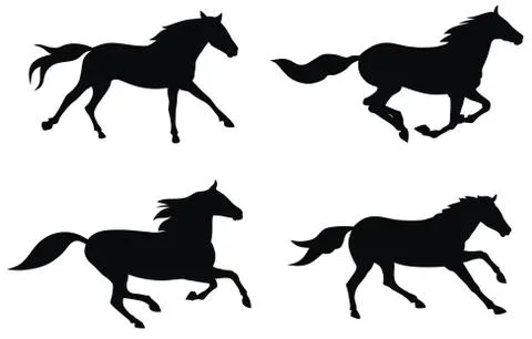 Horses Stock Illustration