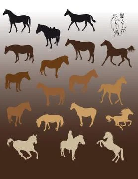 Horses Stock Illustration