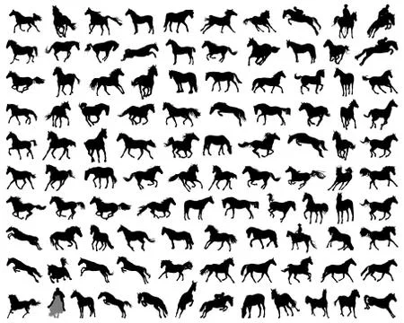 Horses Stock Illustration