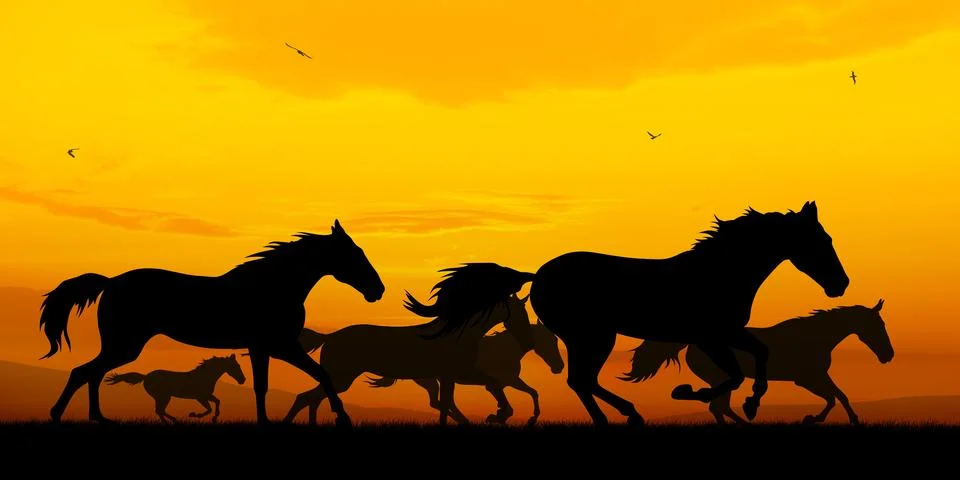Horses Stock Illustration