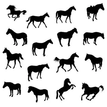Horses Stock Illustration