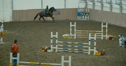 Horses at jumping competition  Stock Footage 61574732