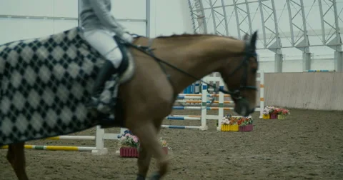 Horses at jumping competition  Stock Footage 61575162