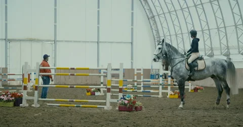 Horses at jumping competition  Stock Footage 61575215