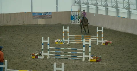 Horses at jumping competition  Stock Footage 61575994