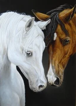 Horses in love. Stock Illustration