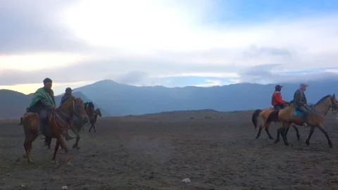 Horses mount Bromo Stock-Footage 77954688
