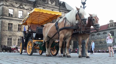 Horses in the Mountain Stock Footage 32006287