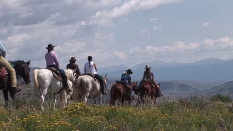 Horses Mountain Video stock 75943186