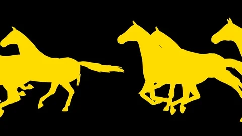 Horses pack. 7 different animations. Alpha channel. Alpha matte. 4K. Stock Footage 78126570