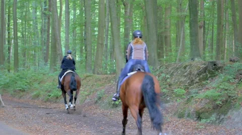 Horses passing by Stock Footage 68892533