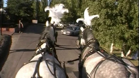 HORSES PULLING CARRIAGE (HD) Video stock 122278411