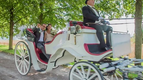 Horses pulling wedding carriage in park Stock Footage 318217762