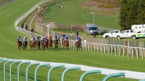 Horses in a racetrack Stock Footage 67128788