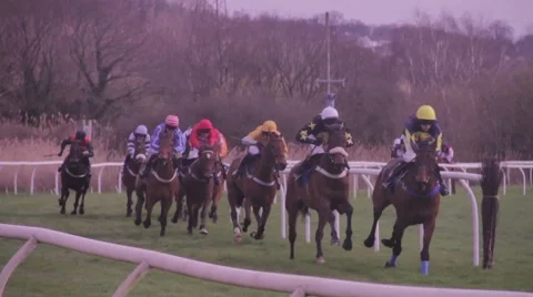 Horses racing mid shot 動画素材 48897806
