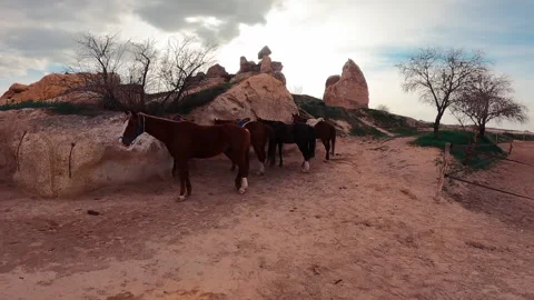 Horses for raiding in Cappadocia. Stock Footage 239654958