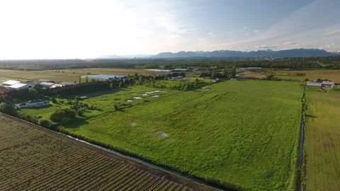 Horses in Ranch Stock Footage 255234937