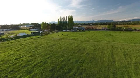 Horses in Ranch Stock Footage 255235063