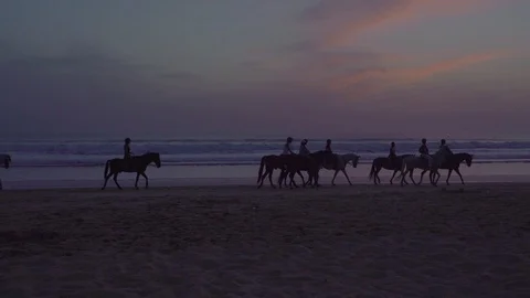 Horses with riders at sunset beach Stock Footage 92139905