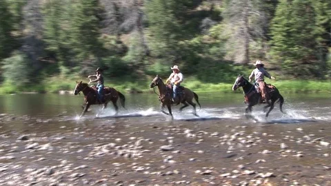 Horses River Run Stock Footage 75847533
