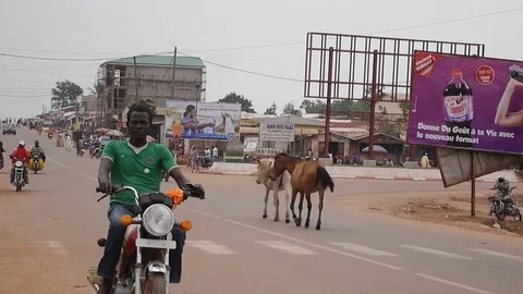 Horses on the road Video stock 80622577