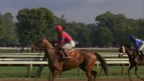 Horses run along the track Stock Footage 111344034