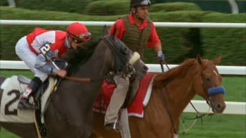 Horses run along the track Stock Footage 111344038