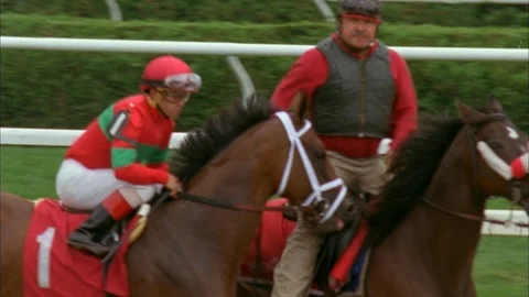 Horses run along the track Stock Footage 111344041