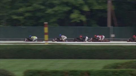 Horses run along the track Stock Footage 111344055