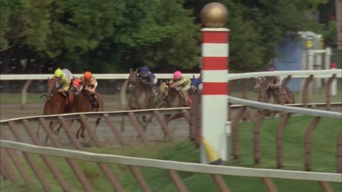 Horses run along the track Stock Footage 111344073
