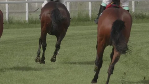 Horses run in competitions in the race for first place. Horse racing in slow  Stock Footage 196976971