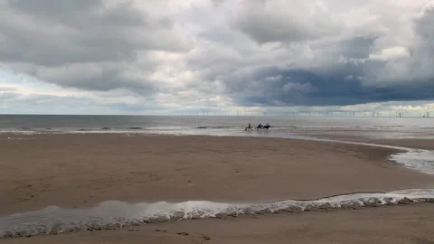 Horses running on an empty beach with dramatic cloudy blue sky and golden Stock Footage 253143555