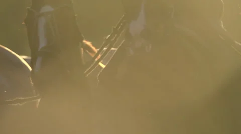 Horses running in field Stock Footage 65871995