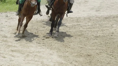 Horses running Video stock 205082264