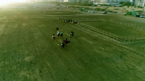 Horses running in the Polo field during a match Stock Footage 108438574