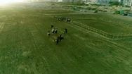 Horses Running In The Polo Field During A Match Stock Footage