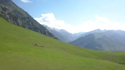 Horses running in the Pyrenees Video stock 152108341