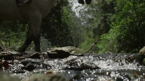 Horses Running Stampede Stock Footage 70406294