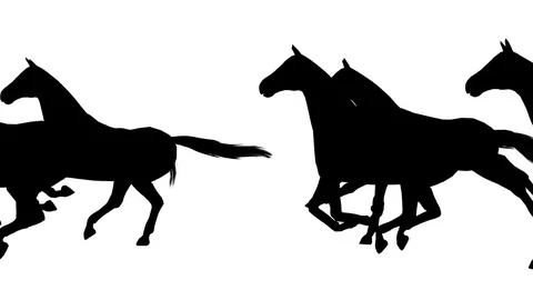 Horses set. 7 different animations. Alpha channel. Alpha matte. 4K. Stock Footage 78149191