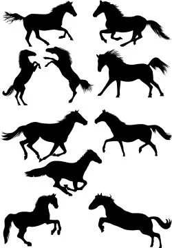 Horses silhouettes Stock Illustration