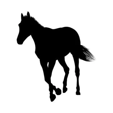 Horses silhouettes Stock Illustration