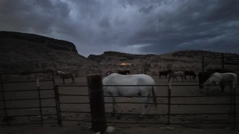 Horses in a Stable Under Cloudy Skies in the Nevada Desert Stock Footage 319028525